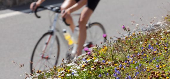 Ciclismo Val Venosta